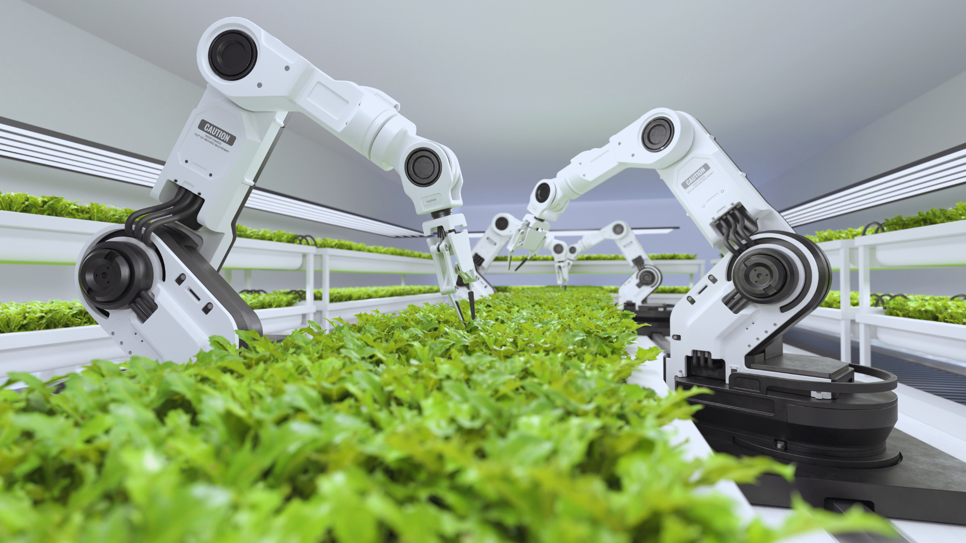 Robotics in Everyday Life: Integrating Technology into Daily Activities